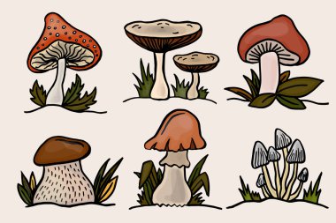 Farklı Orman Mantarları ya da Beyaz Arkaplan Vektör Kümesinde Kök ve Kapaklı Toadstools. Vektör illüstrasyonu