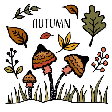 Merhaba Autumn. Sonbahar hasat sembolleri. Sonbahar yaprakları, böğürtlen ve mantar seti. El çizimi, taslak. Karalama tarzında vektör illüstrasyonu. Vektör illüstrasyonu