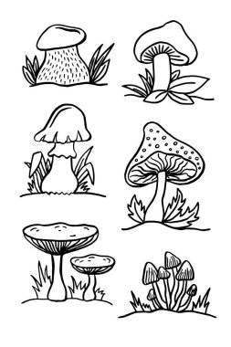 Zehirli mantar ve mantarların dekoratif çizimleri. Şekillendirilmiş vektör grafikleri. Vektör illüstrasyonu