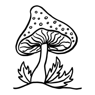 Uçan agarik, yenilemez zehirli orman mantarları çizim vektör çizimi izole edildi. Vektör illüstrasyonu