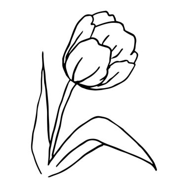 Basit Lale. Siyah ve Beyaz 'ı çiz. Çiçek Vektörü illüstrasyonu. Vektör illüstrasyonu