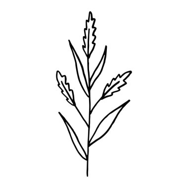 Flower one doodle contour silhouette dark line, no colors, isolated, element design. Vector illustration