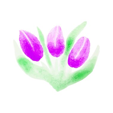 Bir buket pembe lale, elle çizilmiş suluboya vektör. Vektör illüstrasyonu