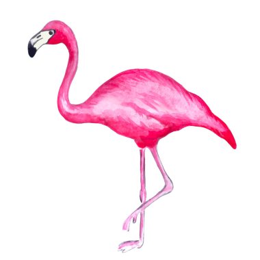 Suluboya flamingo. Ambalaj kağıdı, duvar kağıdı, kumaş, kart için yaz için egzotik dekorasyon baskısı. Vektör çizimi. Vektör illüstrasyonu