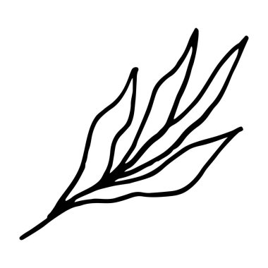 El çizimi yaprak beyaz arka planda izole. Vektör illüstrasyonu