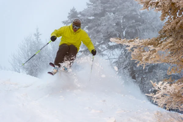 Bir toz günde uzman kayakçı. — Stok fotoğraf