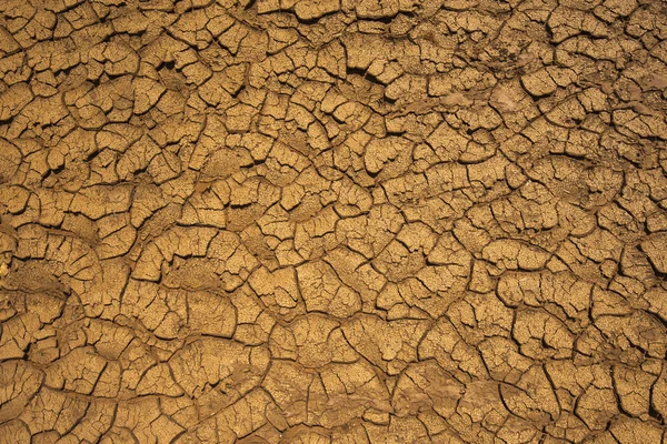 Dry cracked earth — Stock Photo, Image