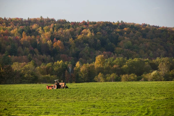 Alten Bauernhof-Traktor in einem Feld. — Stockfoto
