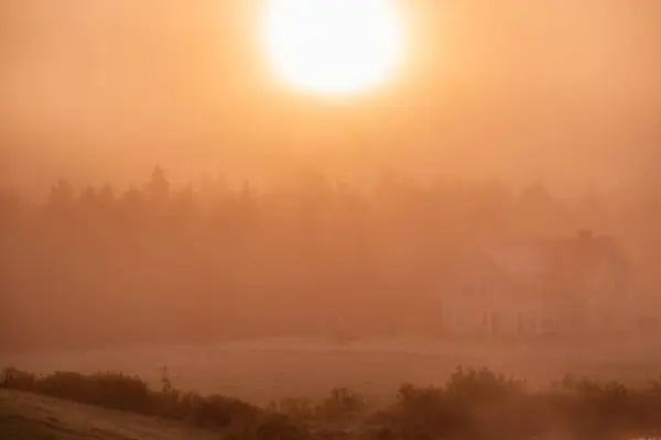 Salida Del Sol Sobre Los Árboles Niebla Mañana Ciudad Nueva — Foto de Stock