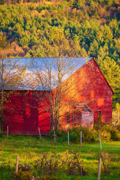 Rote Scheune Einem Sonnigen Herbstnachmittag Stowe Vermont Usa — Stockfoto