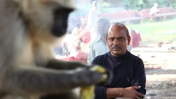 Observador de animales — Vídeos de Stock