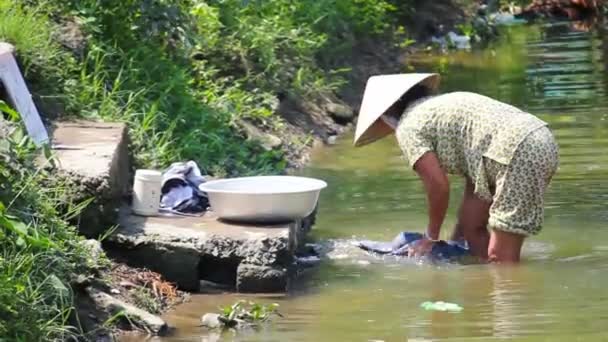 Washes clothes — Stock Video