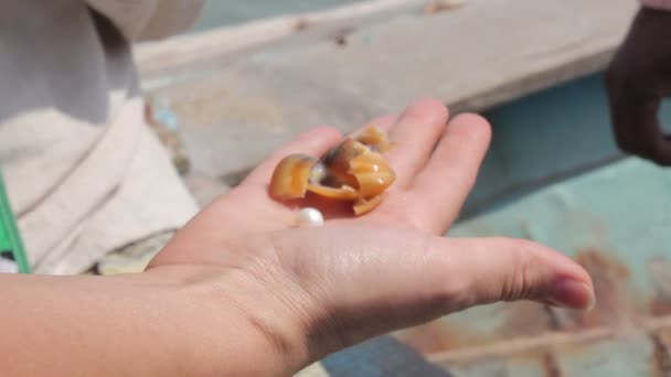 Extraction de perles naturelles 