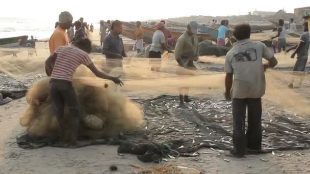 Checking Fishing Nets — Stock Video