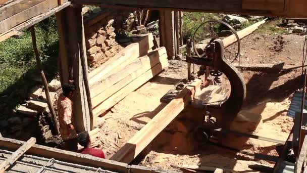 锯木厂印度老 — 图库视频影像