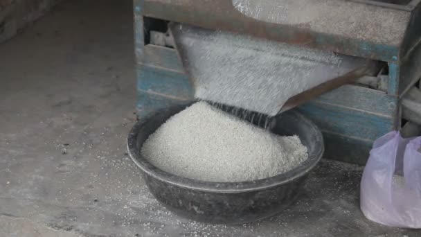 Peneiramento de arroz — Vídeo de Stock