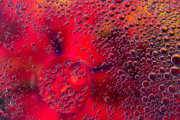 Gelembung Dalam Minyak Dalam Air Pada Warna Merah Muda Hitam — Stok Foto