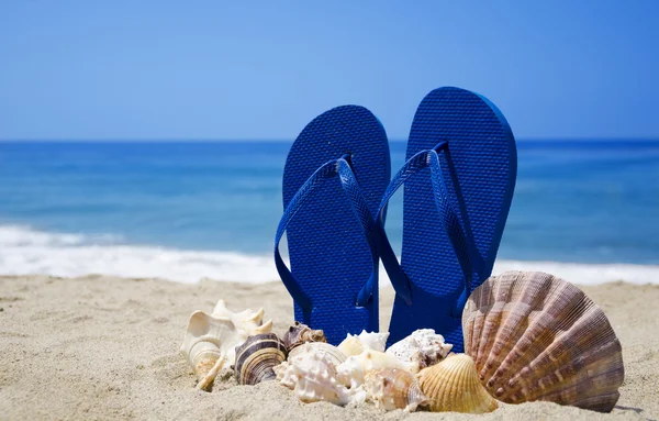 Infradito con conchiglie sulla spiaggia di sabbia — Foto Stock