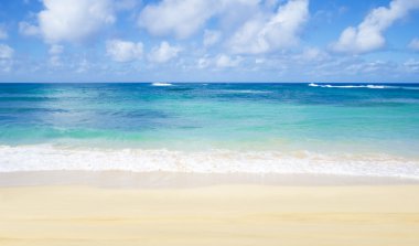 yumuşak dalgalar Hawaii kumlu plaj