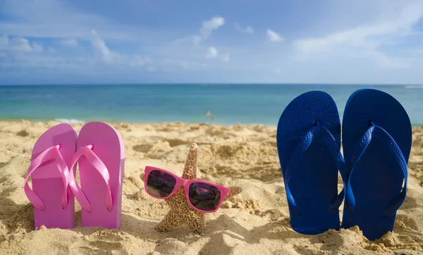 Chanclas y estrellas de mar con gafas de sol en la playa de arena —  Fotos de Stock