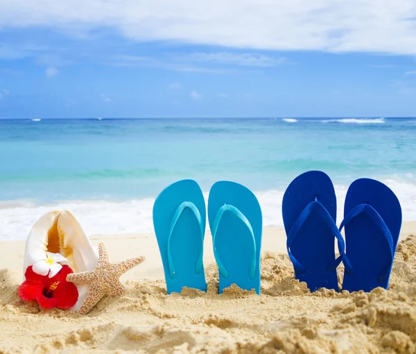 Tongs, coquillages et étoiles de mer aux fleurs tropicales sur sable — Photo