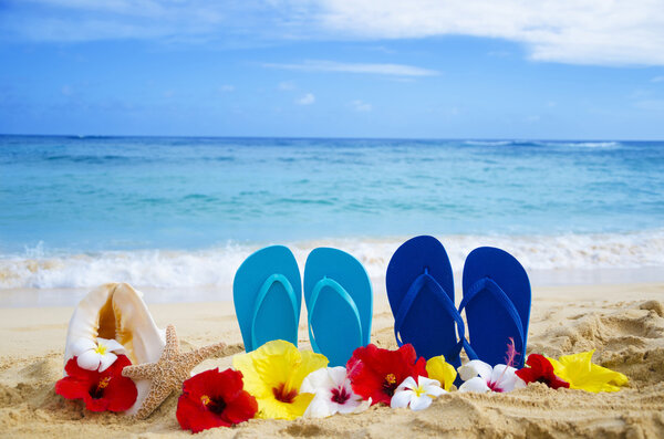 Flip flops, seashell and starfish with tropical flowers on sandy