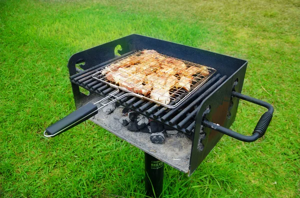 Summer barbecue — Stock Photo, Image