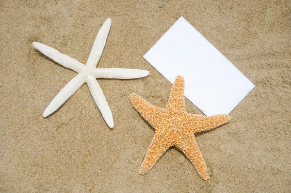 Zeesterren en papier op het strand — Stockfoto