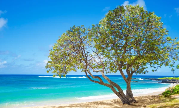 Paesaggio bellissimo oceano — Foto Stock