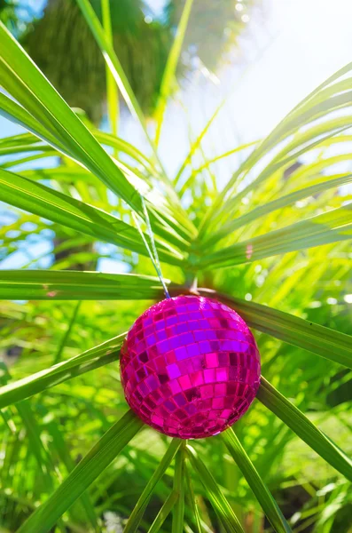 Christmas ball on palm tree — Stock Photo, Image
