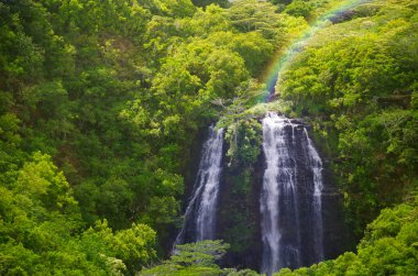 şelale Hawaii'deki kauai