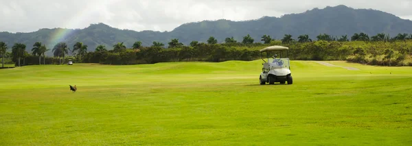 Carrello da golf — Foto Stock