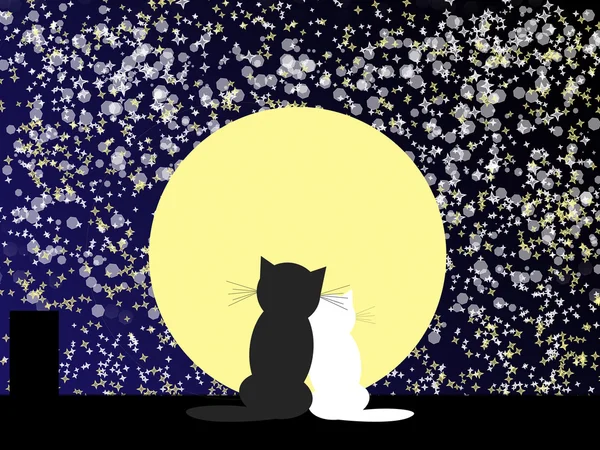 Abstract star's background with cats