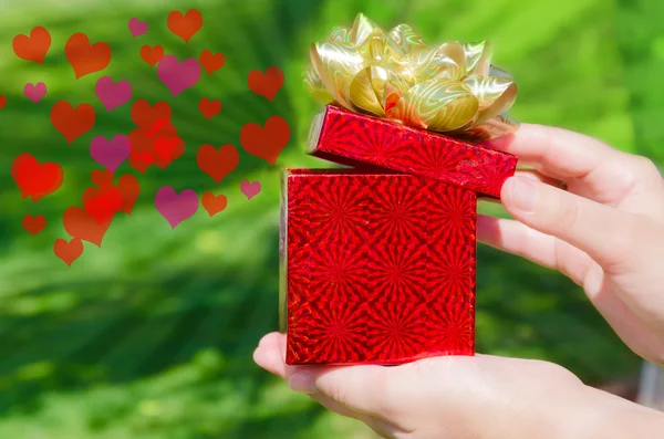 Gift box in woman's hands — Stock Photo, Image