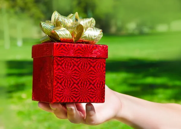Gift box in woman's hands — Stock Photo, Image