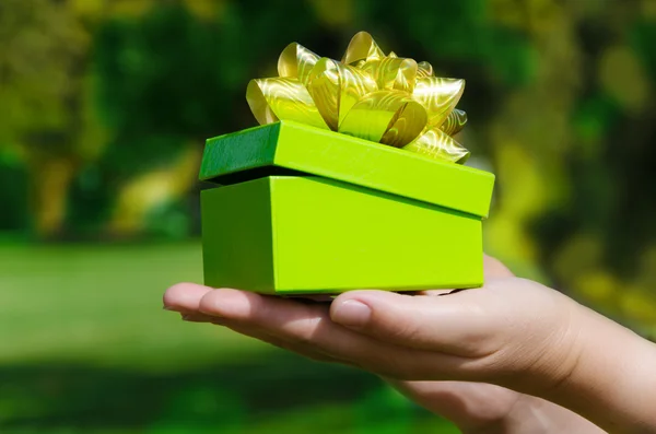 Green Hediyelik kutu kadının ellerinde — Stok fotoğraf