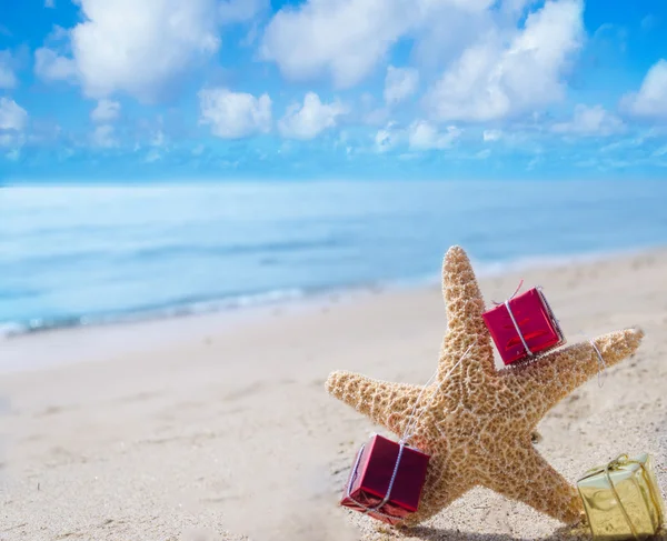 Étoile de mer avec cadeaux au bord de l'océan — Photo
