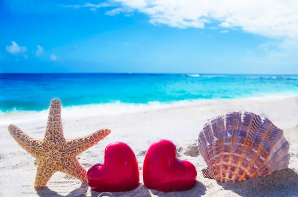 Stella marina e conchiglia con i cuori in riva al mare — Foto Stock