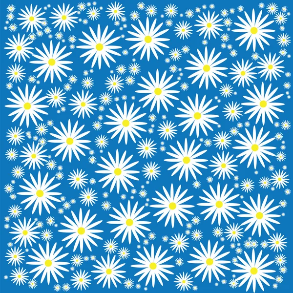 Camomila floral Fundo — Fotografia de Stock