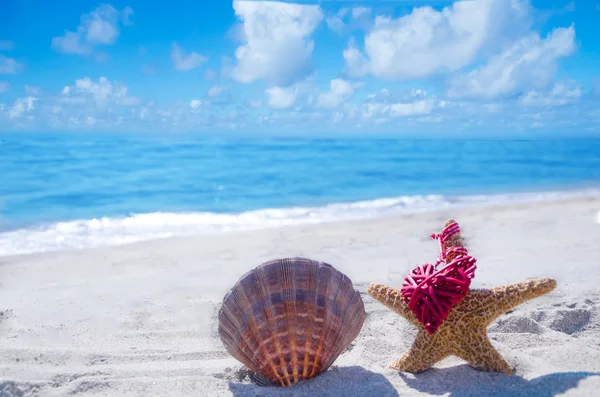 Starfish and seashell with heart by the ocean — Stock Photo, Image