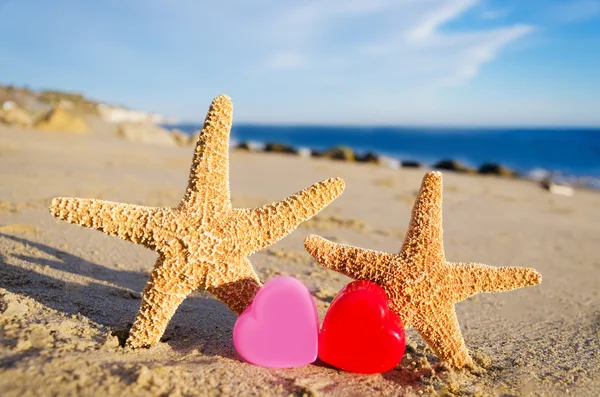 Starfishes with hearts on the sandy beach — Stock Photo, Image