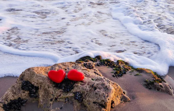 Due cuori dall'oceano — Foto Stock