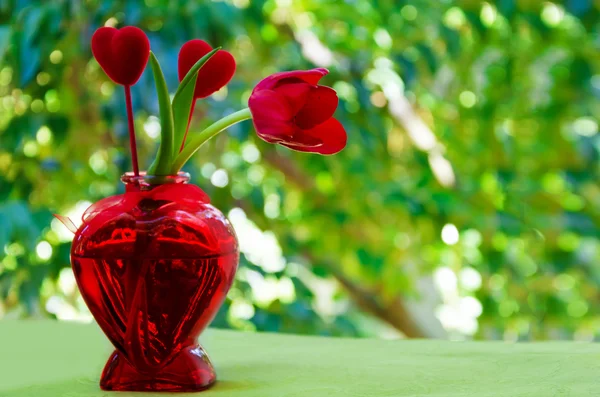 Tulip with heart in the vase — Stock Photo, Image