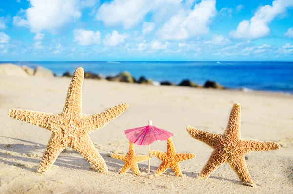 Starfishes na praia de areia — Fotografia de Stock