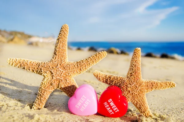 Étoiles de mer avec des cœurs sur la plage de sable — Photo