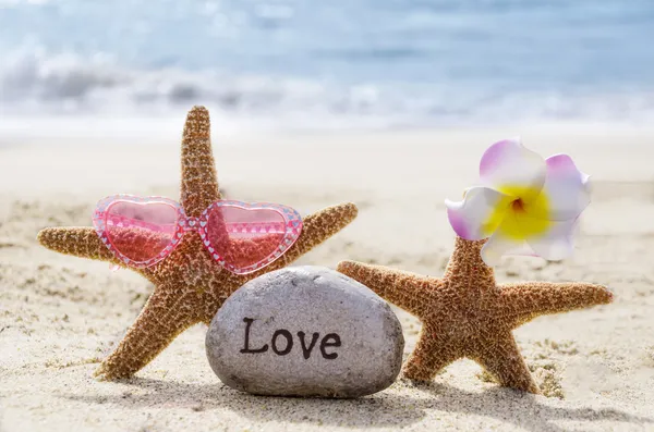 Dois Starfishes com rocha na praia — Fotografia de Stock