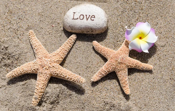 两个用石块在海滩上的海星 — 图库照片
