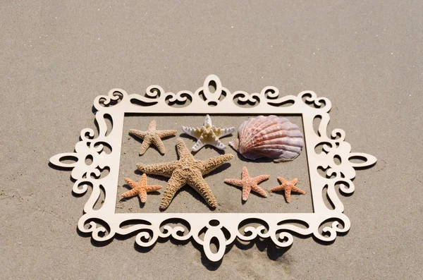 Starfishes och musselskal på sanden — Stockfoto