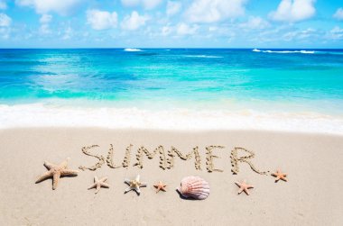 Deniz yıldızı ve kumlu sahilde deniz kabuğu