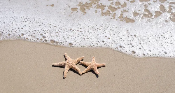 Starfishes på sandstranden — Stockfoto